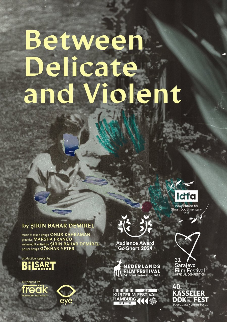 Between Delicate and Violent — poster