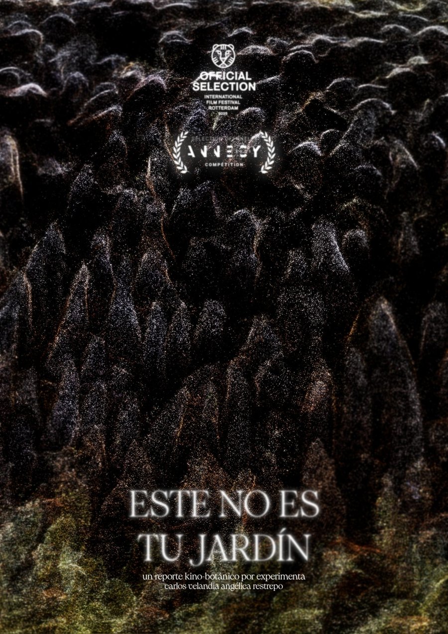 This is not your Garden — poster
