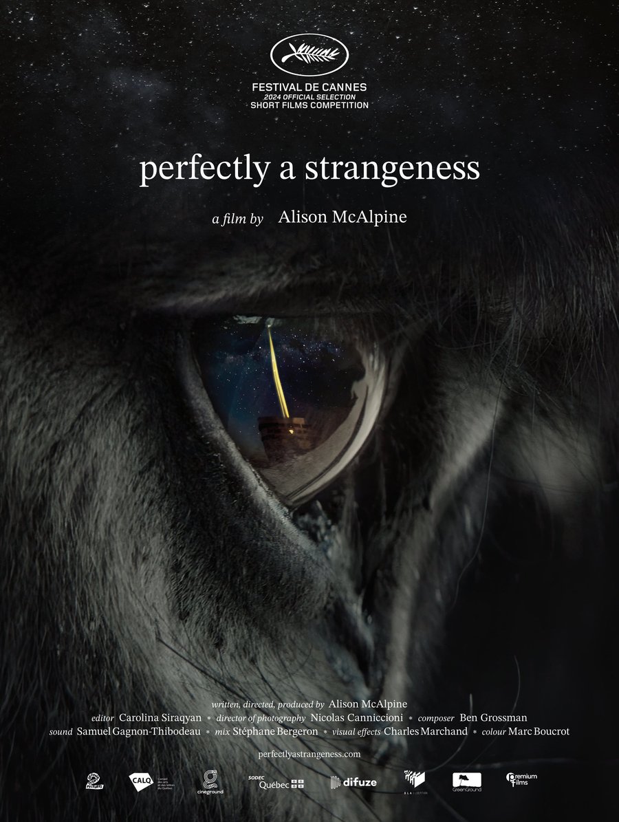 perfectly a strangeness — poster