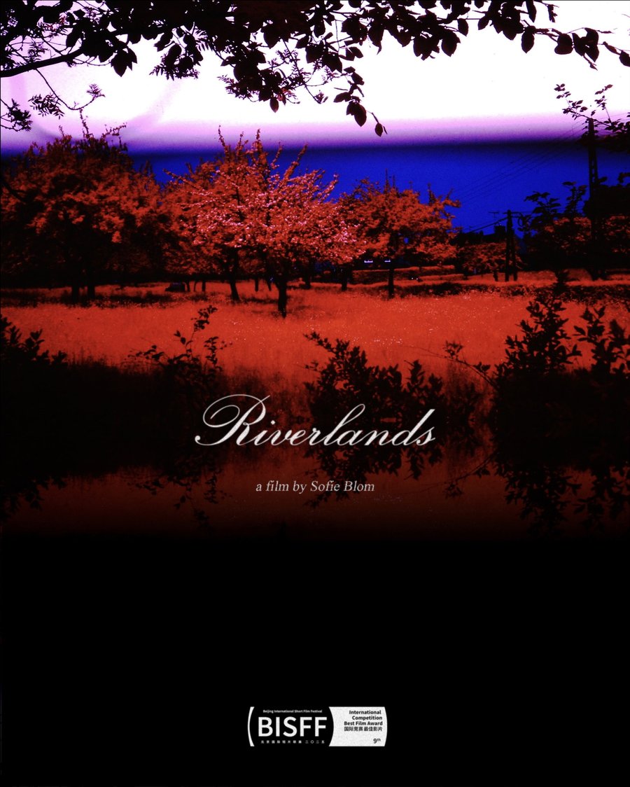 Riverlands — poster