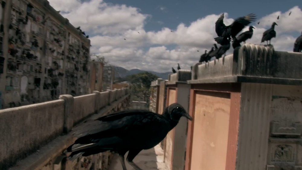 Sub Terrae — still 2