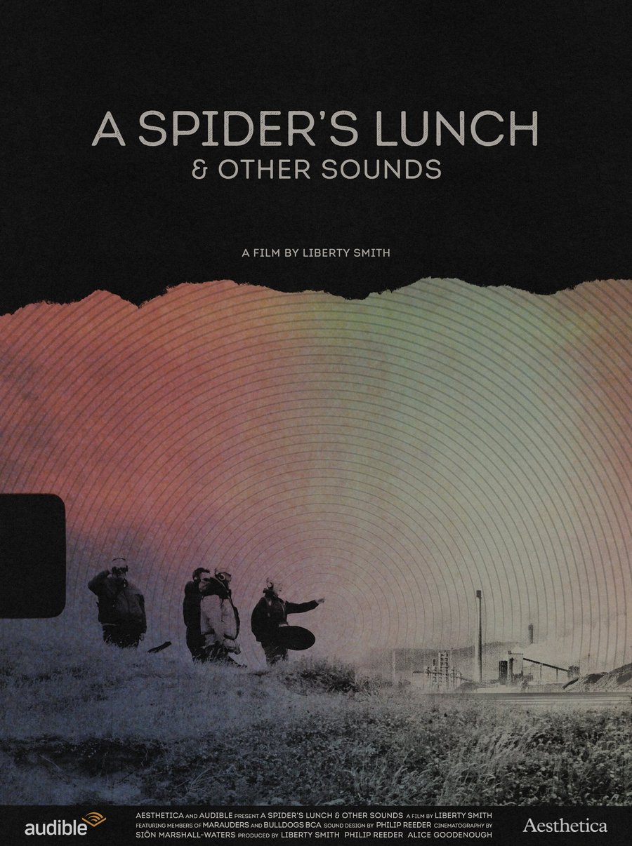 A Spider's Lunch & Other Sounds — poster