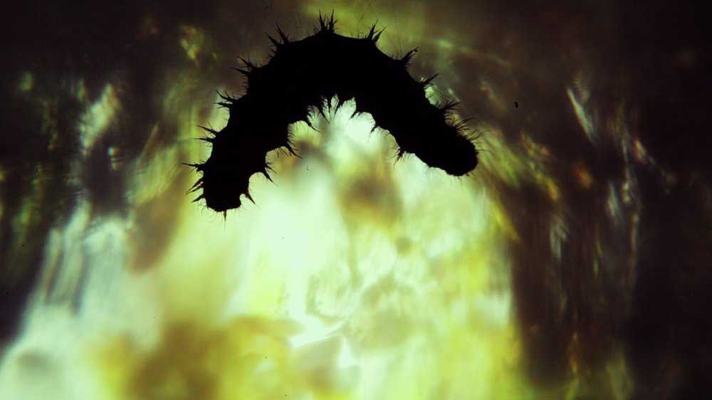 IMAGO — still 2