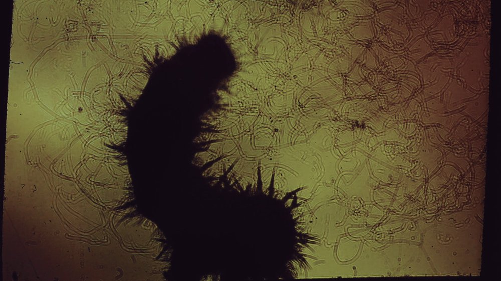 IMAGO — still 3
