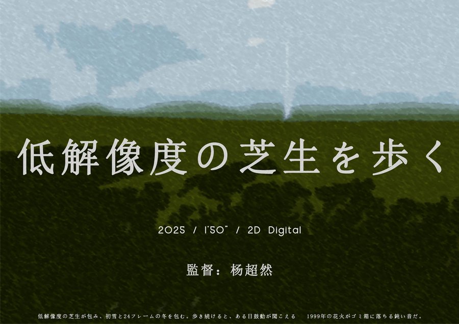 Walking on the Low-Resolution Lawn — poster