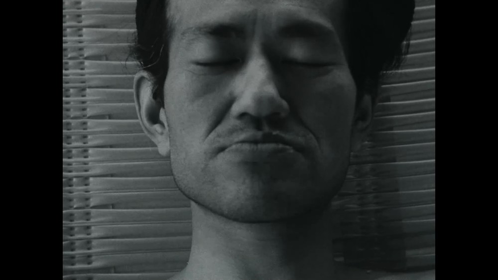Complexe — still 2