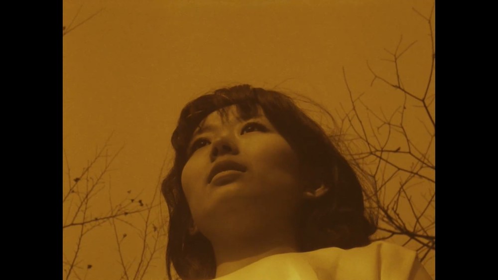 Complexe — still 3