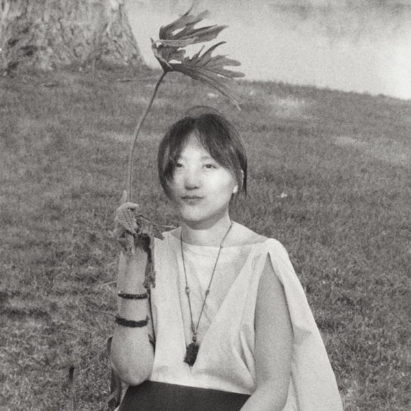 an-li dīng