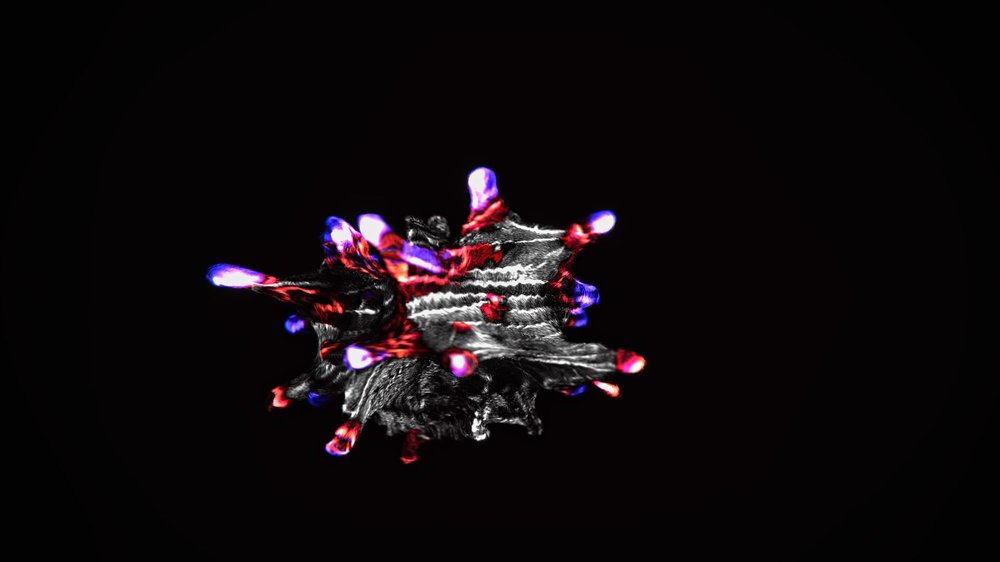 Symbionts — still 3