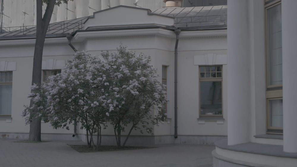 Lilac Moscow — still 1