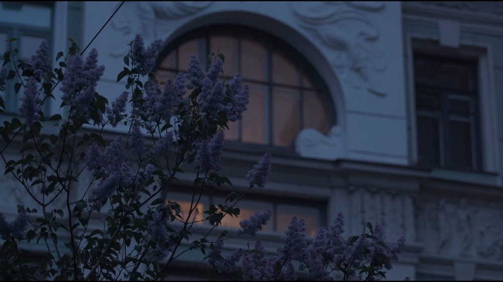 Lilac Moscow — still 3