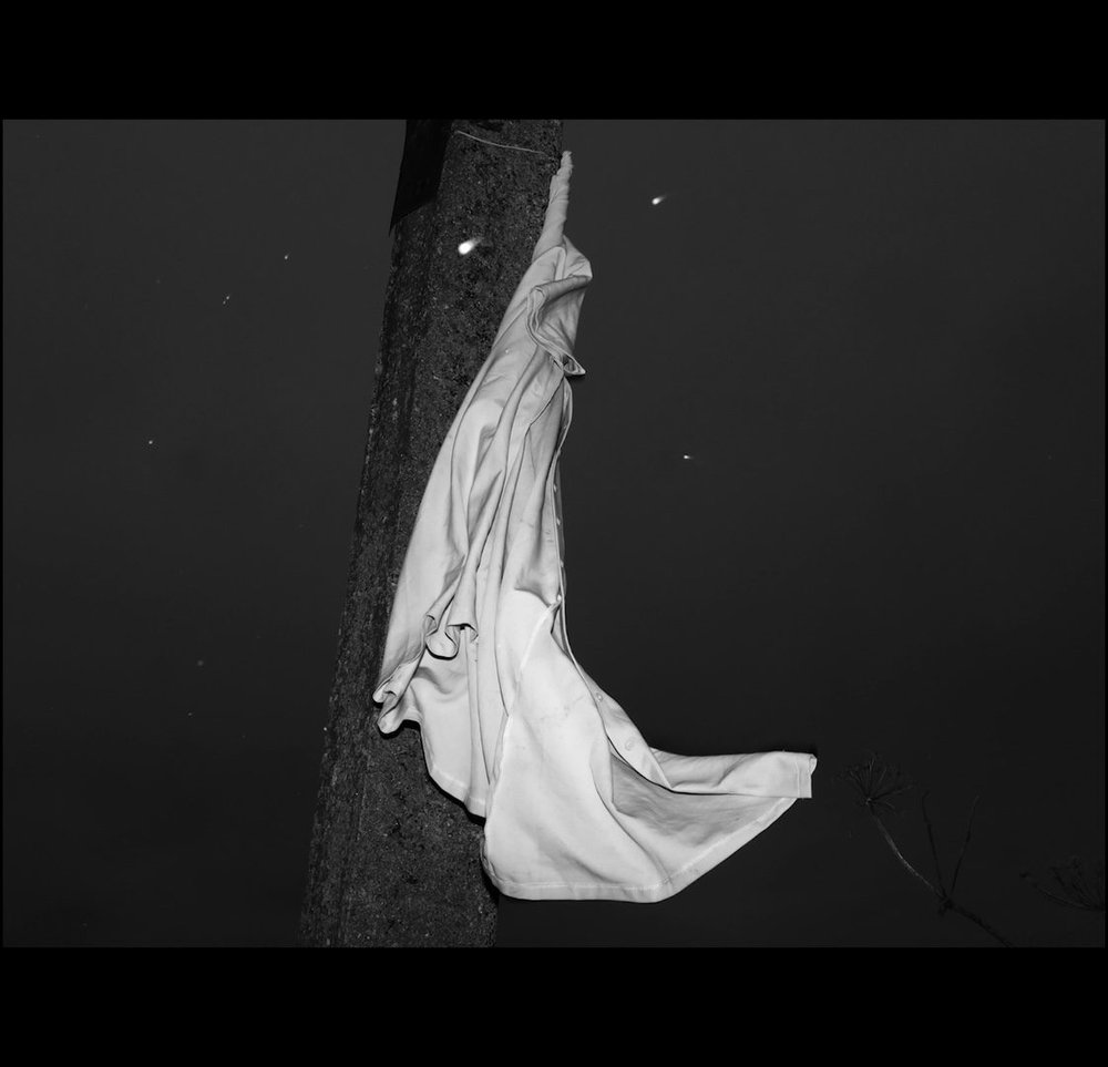 Macula — still 2