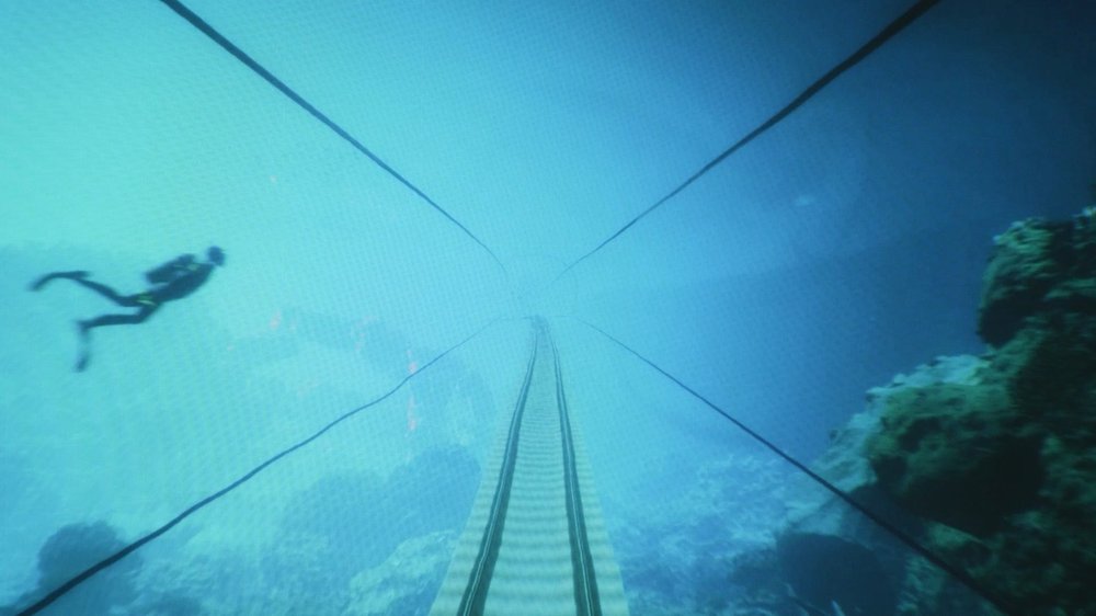 Mission Motherland — still 2